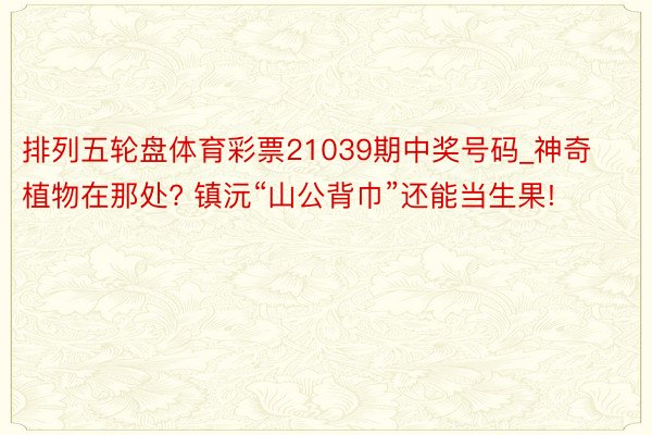 排列五轮盘体育彩票21039期中奖号码_神奇植物在那处? 镇沅“山公背巾”还能当生果!